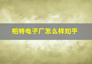 柏特电子厂怎么样知乎