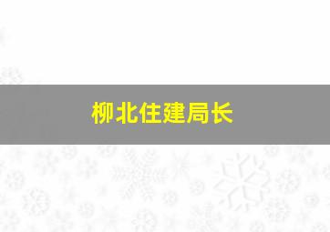 柳北住建局长