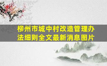 柳州市城中村改造管理办法细则全文最新消息图片