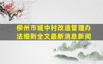 柳州市城中村改造管理办法细则全文最新消息新闻