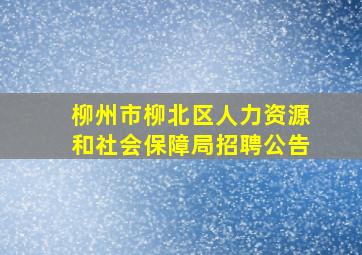 柳州市柳北区人力资源和社会保障局招聘公告