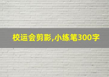 校运会剪影,小练笔300字