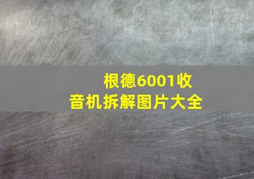 根德6001收音机拆解图片大全