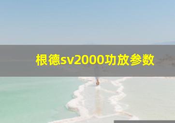 根德sv2000功放参数