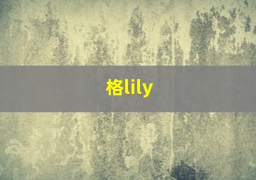 格lily