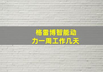 格雷博智能动力一周工作几天