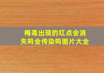 梅毒出现的红点会消失吗会传染吗图片大全