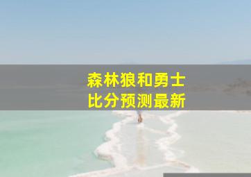 森林狼和勇士比分预测最新