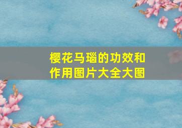 樱花马瑙的功效和作用图片大全大图