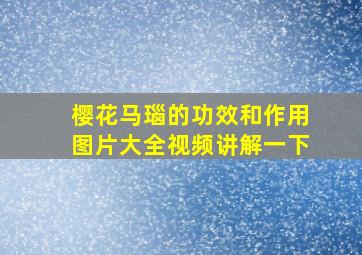 樱花马瑙的功效和作用图片大全视频讲解一下