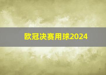 欧冠决赛用球2024