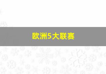 欧洲5大联赛