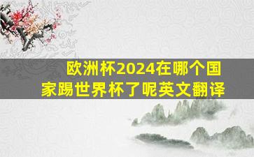 欧洲杯2024在哪个国家踢世界杯了呢英文翻译