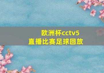 欧洲杯cctv5直播比赛足球回放