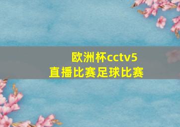 欧洲杯cctv5直播比赛足球比赛