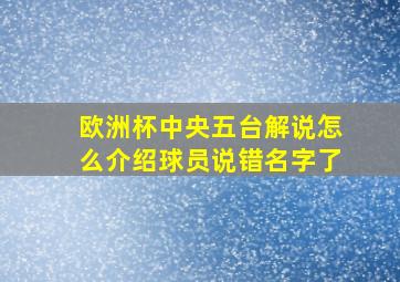 欧洲杯中央五台解说怎么介绍球员说错名字了