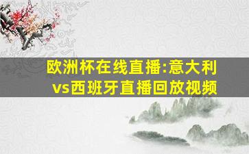 欧洲杯在线直播:意大利vs西班牙直播回放视频