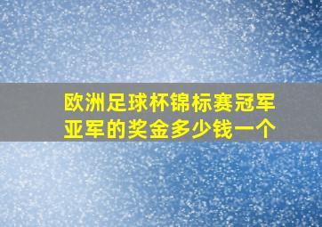 欧洲足球杯锦标赛冠军亚军的奖金多少钱一个