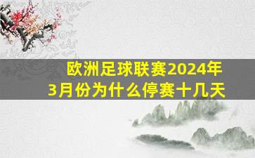 欧洲足球联赛2024年3月份为什么停赛十几天