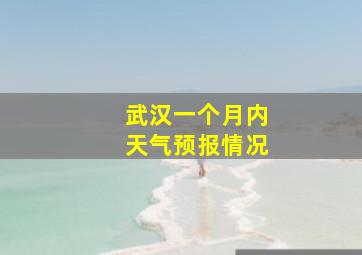 武汉一个月内天气预报情况