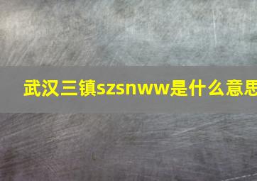 武汉三镇szsnww是什么意思