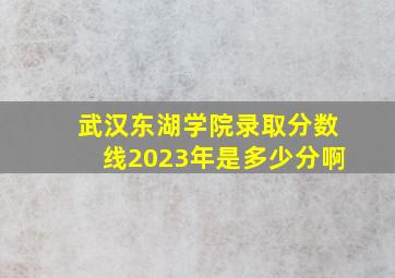 武汉东湖学院录取分数线2023年是多少分啊