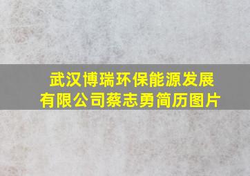 武汉博瑞环保能源发展有限公司蔡志勇简历图片