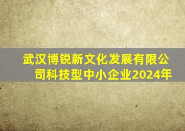 武汉博锐新文化发展有限公司科技型中小企业2024年