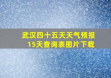 武汉四十五天天气预报15天查询表图片下载