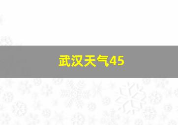 武汉天气45