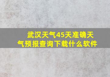 武汉天气45天准确天气预报查询下载什么软件