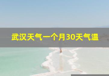 武汉天气一个月30天气温