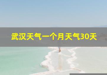 武汉天气一个月天气30天