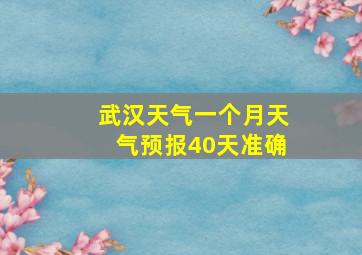 武汉天气一个月天气预报40天准确