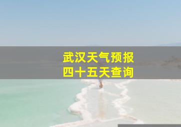 武汉天气预报四十五天查询