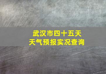 武汉市四十五天天气预报实况查询