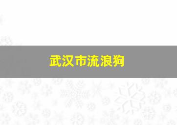 武汉市流浪狗