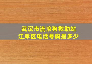 武汉市流浪狗救助站江岸区电话号码是多少