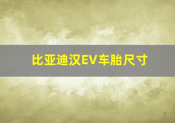 比亚迪汉EV车胎尺寸