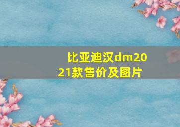 比亚迪汉dm2021款售价及图片