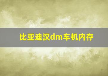 比亚迪汉dm车机内存