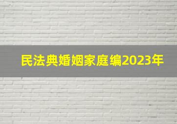 民法典婚姻家庭编2023年