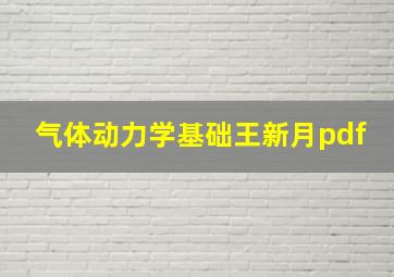 气体动力学基础王新月pdf