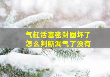 气缸活塞密封圈坏了怎么判断漏气了没有