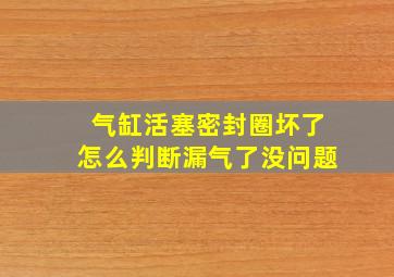 气缸活塞密封圈坏了怎么判断漏气了没问题