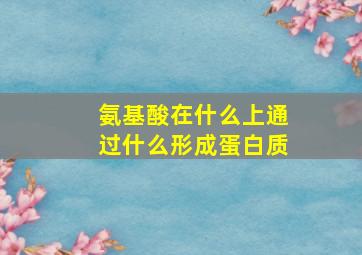 氨基酸在什么上通过什么形成蛋白质