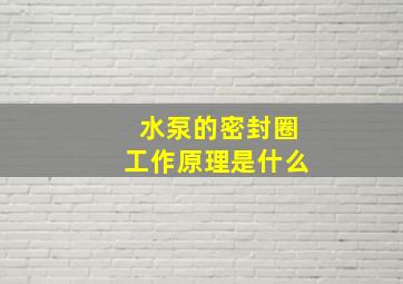 水泵的密封圈工作原理是什么