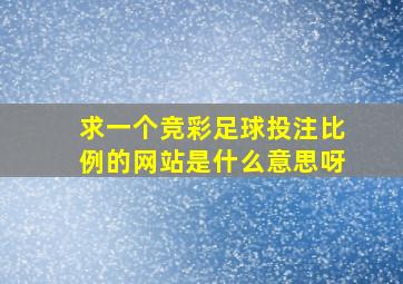 求一个竞彩足球投注比例的网站是什么意思呀