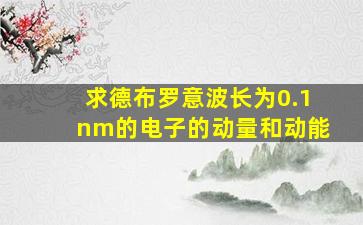 求德布罗意波长为0.1nm的电子的动量和动能