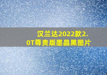 汉兰达2022款2.0T尊贵版墨晶黑图片